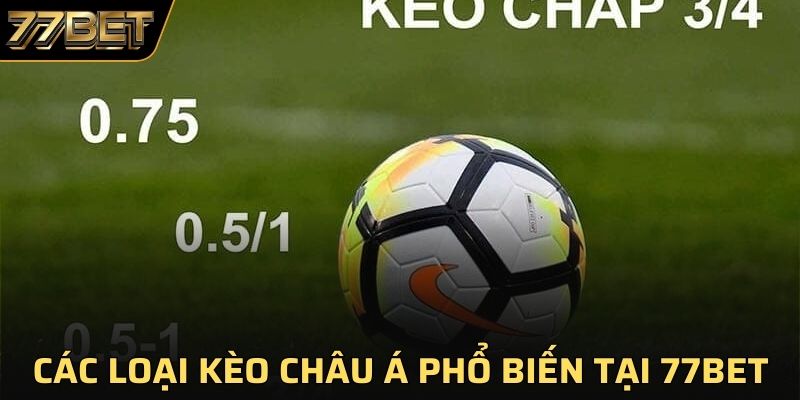 Các loại kèo Châu Á phổ biến tại 77BET