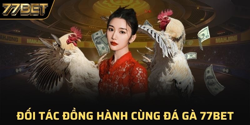 Đối tác đồng hành cùng đá gà 77BET