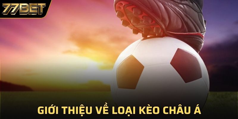 Giới thiệu về loại kèo Châu Á