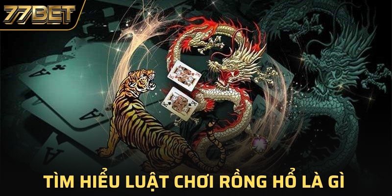 Luật tham gia Dragon Tiger mới nhất 2025