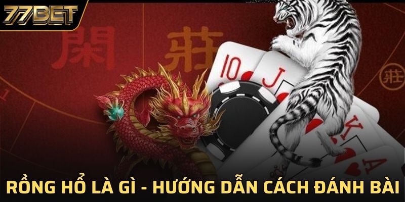 Rồng Hồ Là Gì - Chia Sẻ Kinh Nghiệm Đánh Bài Mới Nhất 2025