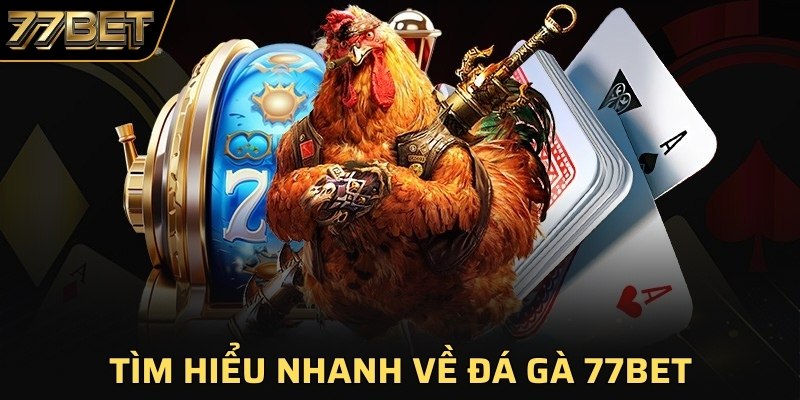 Tìm hiểu nhanh về đá gà 77BET 