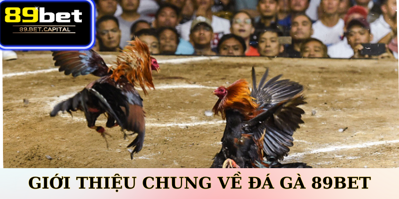 Giới Thiệu Chung Về Đá Gà 77BET