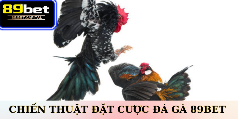 Chiến Thuật Đặt Cược Đá Gà 77BET Hiệu Quả