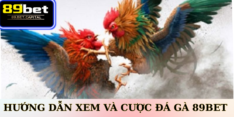 Hướng Dẫn Xem Và Cược Đá Gà 77BET Trên Di Động