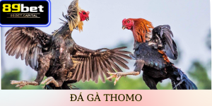 Đá Gà Thomo