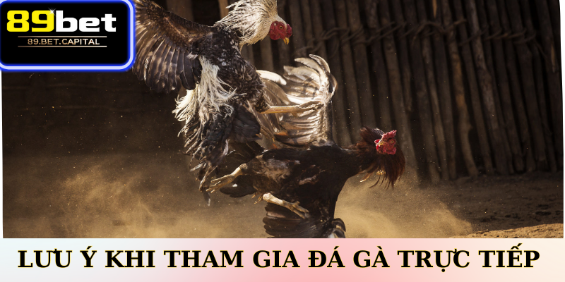 Lợi Ích Khi Chơi Đá Gà Trực Tiếp Online