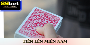 Tiến Lên Miền Nam